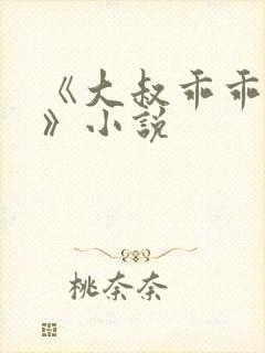 《大叔乖乖宠我》小说