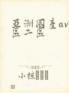 亚洲国产av一区二区