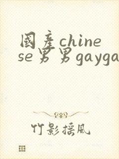 国产chinese男男gaygay无套