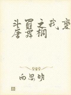 斗罗之我变成了唐舞桐