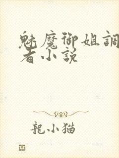 魅魔御姐调教勇者小说