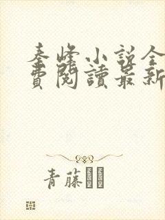 秦峰小说全文免费阅读最新章节更新时间封面