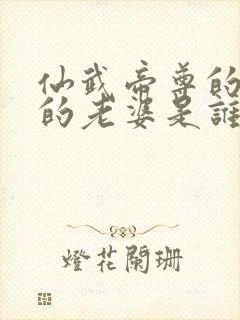 仙武帝尊的叶辰的老婆是谁