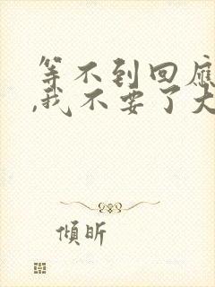 等不到回应的爱,我不要了大结局