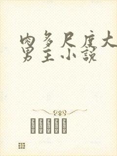 肉多尺度大的双男主小说