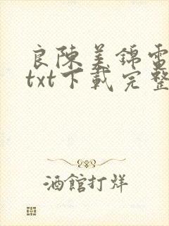 良陈美锦电子书txt下载完整版