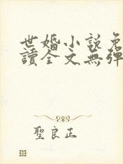 世婚小说免费阅读全文无弹窗封面