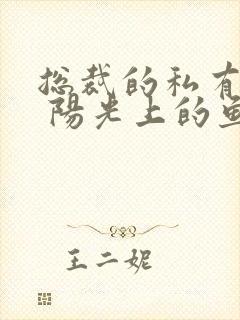 总裁的私有宝贝 阳光上的鱼封面