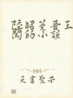 陆昭菱晋王周时阅的小说