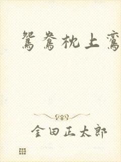 鸳鸯枕上鸾凤颠封面