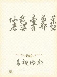 仙武帝尊叶辰的老婆有哪些