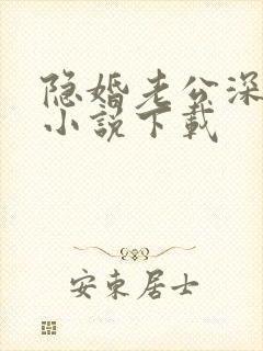 隐婚老公深夜来小说下载