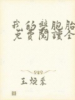 我的双胞胎老婆免费阅读全文封面