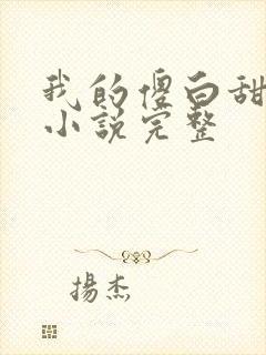 我的傻白甜老婆小说完整封面