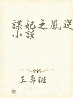 谋妃之凤逆天下小说