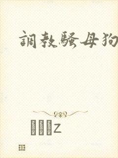调教骚母狗小说封面