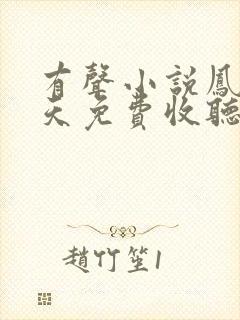 有声小说凤唳九天免费收听