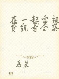 在一起电视剧免费观看全集完整版