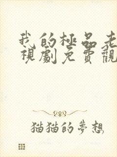 我的极品老妈电视剧免费观看全集