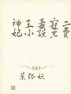 神王毒宠二嫁王妃小说免费阅读封面