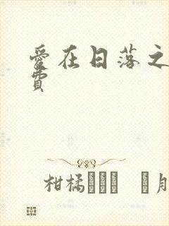 爱在日落之前免费