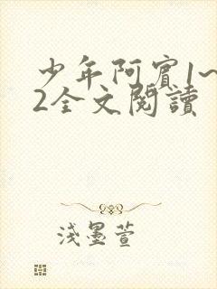 少年阿宾1~72全文阅读封面