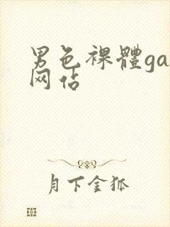 男色裸体gay网站封面