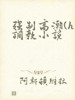 强制高潮(h)调教小说封面