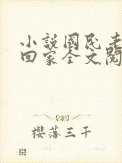 小说国民老公带回家全文阅读