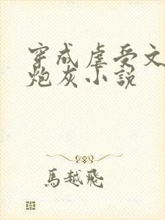 穿成虐受文里的炮灰小说