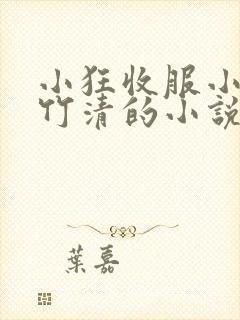 小狂收服小舞朱竹清的小说