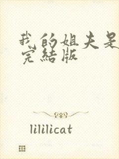 我的姐夫是太子完结版