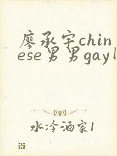 廖承宇chinese男男gay网站封面