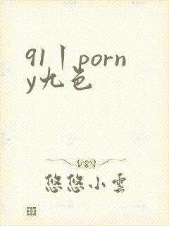 91丨porny九色封面