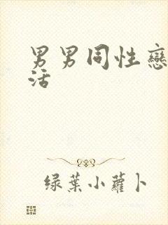 男男同性恋性生活