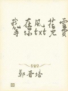 我在风花雪月里等你txt免费下载