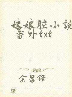 娘娘腔小说完整 番外txt