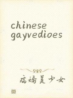 chinesegayvedioes封面
