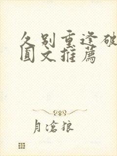 久别重逢破镜重圆文推荐