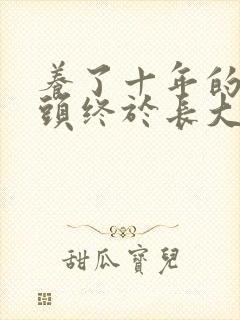 养了十年的小丫头终于长大了