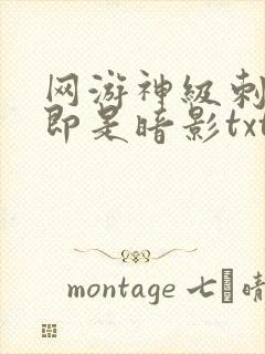 网游神级刺客我即是暗影txt下载