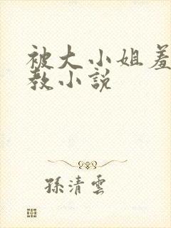 被大小姐羞耻调教小说封面