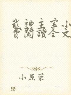 武神主宰小说免费阅读全文下载