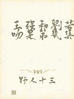 王强和刘若琳亲吻是第几集