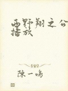 西野翔之公在线播放