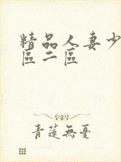 精品人妻少妇一区二区