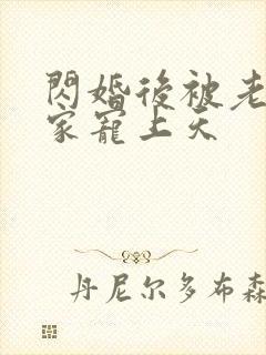 闪婚后被老公全家宠上天