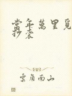 当年万里觅封侯抄袭