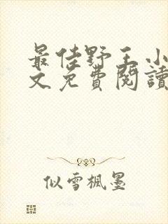 最佳野王小说全文免费阅读