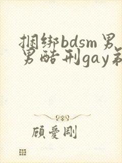 捆绑bdsm男男酷刑gay剃毛